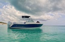 Snorkel Beaches and Pigs Shoreline Tour