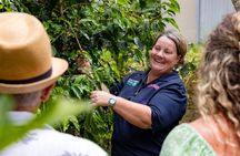 Tamborine Mountain Food & Wine Tour from the Gold Coast