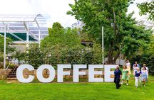 Tamborine Mountain Food & Wine Tour from the Gold Coast