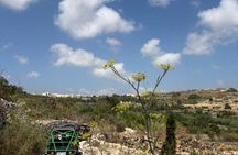 Malta Full Day Self Drive Buggy Tour with Lunch and Swim Stop