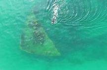Guided Snorkeling Tour of Novadoc Shipwreck on Lake Michigan