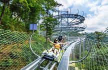 Guangzhou to Gulong Gorge Glass Bridge and Waterfall Private Tour