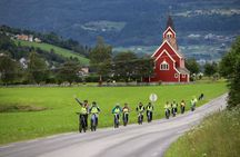 Olden: Scenic E-Bike Tour with Lakeside Picnic & Fjord Views