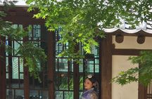 Seoul Layover Tour in Sedan
