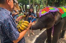 Private Nong Nooch VIP Tour Skywalk Dinosaurs and with Lunch
