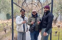 Casa Vigil (the enemy) + 2 wineries + Olivicola
