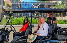 Private Electric Golf Cart Tour of Tampa with Karaoke