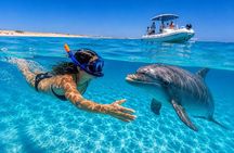 Luxury Private Speedboat Dolphin House and Hula Hula island