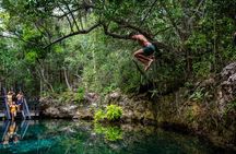 Punta Cana Ojos Indígenas Eco Reserve Tour with Cenote Swim