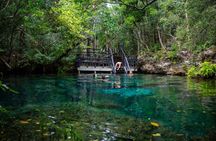 Punta Cana Ojos Indígenas Eco Reserve Tour with Cenote Swim