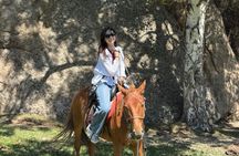 Horse riding in Terelj National Park