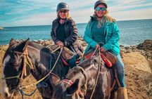 Papudo : Navigation, Penguin Watching and Riding