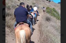Papudo : Navigation, Penguin Watching and Riding