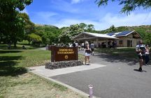 Diamond Head Sunrise Hike and Summit Tour with Reservation Ticket