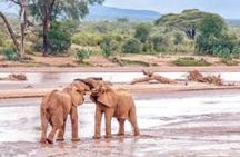 6-Day Ultimate Northern Kenya Safari