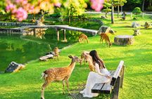 Kyoto & Nara Day Trip with Optional Lunch : From Osaka / Kyoto