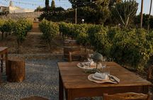 Vynea Wine Tasting Experience