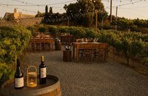 Vynea Wine Tasting Experience