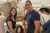 Terracotta Tickets With Professional Guide In English & Italian