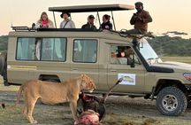 Classic Tanzania Safari: Tarangire, Serengeti & Ngorongoro