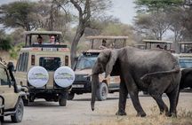 Classic Tanzania Safari: Tarangire, Serengeti & Ngorongoro