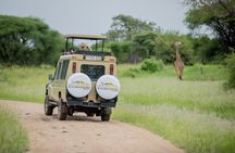 Classic Tanzania Safari: Tarangire, Serengeti & Ngorongoro