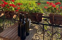 Break Bread with Kutaisi Locals