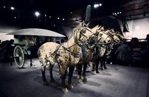 Private Tour to Terracotta Army & Bronze Chariots(Lishan Garden)