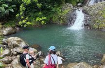 Grenada’s Best: Waterfalls, Chocolate, Rum and Rainforest Tour