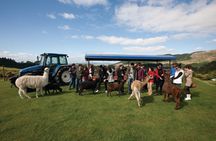 Rotorua Farm & Forest Private Tour from Auckland