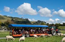 Rotorua Farm & Forest Private Tour from Auckland