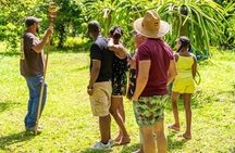 Soma Garden All Inclusive Tropical Fruit Farm Tour