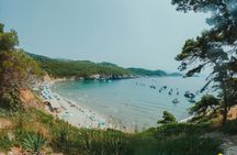 Blue Cave, 3 Green Caves & Šunj Beach - Morning Speedboat Tour