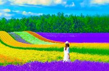Hokkaido Farm Tomita, Shikisai Oka, Waterfall, Blue Pond Day Tour