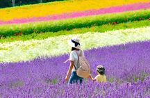 Hokkaido Farm Tomita, Shikisai Oka, Waterfall, Blue Pond Day Tour
