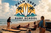 Surf Lessons bali, Instagram: @palmtreesurfbali