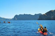 Kayak Discovery