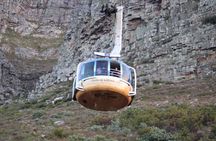 Private Boulder Beach Penguins and Table Mountain Half-Day Tour