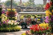 Bangkok Nong Nooch Gardens, Buddha Mountain & Sanctuary of Truth