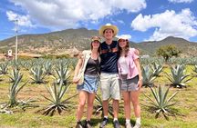 Authentic Mezcal Experience Oaxaca Small Group Local Producers