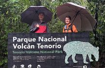 Rio Celeste Waterfall & Tenorio Volcano National Park Guided Hike