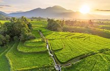 Bali UNESCO Rice Terrace, Beratan Temple & Tanah Lot Private Tour