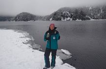 Andean Lakes Day Trip Villarrica National Park