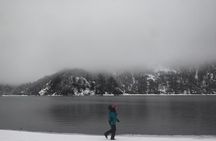 Andean Lakes Day Trip Villarrica National Park