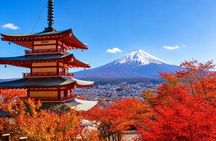 Mt.Fuji, Arakurayama, Oishi Park, & Lake Kawaguchiko from Tokyo