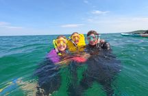 Guided Snorkeling Tour of Novadoc Shipwreck on Lake Michigan