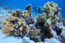Discover Scuba Diving