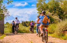 Chianti Hills E-Bike Tour with Tuscan Lunch & Two Wine Tastings