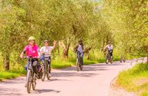 Chianti Hills E-Bike Tour with Tuscan Lunch & Two Wine Tastings
