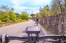 Florence: E-Bike Tour with Olive Oil Tasting or Relax in the Pool